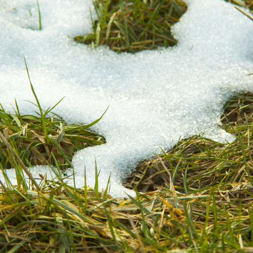Seasonal Info: Melting Snow and Your Foundation
