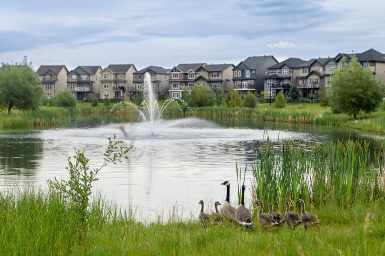 Scenic storm pond in Desrochers Villages featuring a central water fountain and local wildlife.