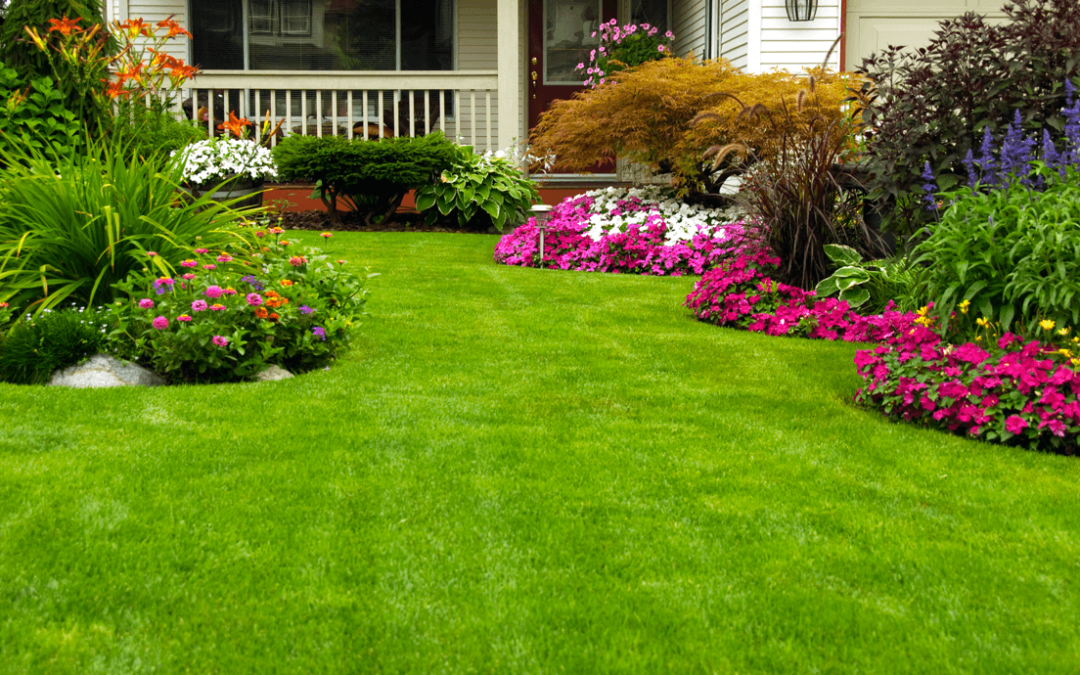 Landscaping Guidelines Demystified