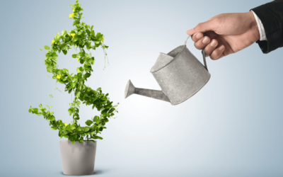 Money Talks: The Lowdown on Investing Your Money