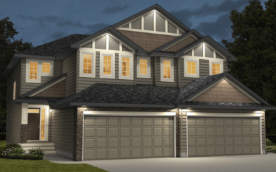 The Buzz About Downsizing